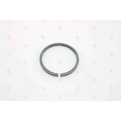 Sealing ring