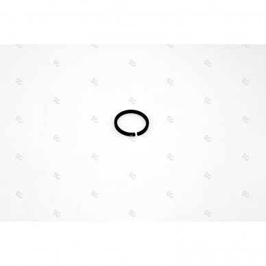 Sealing ring