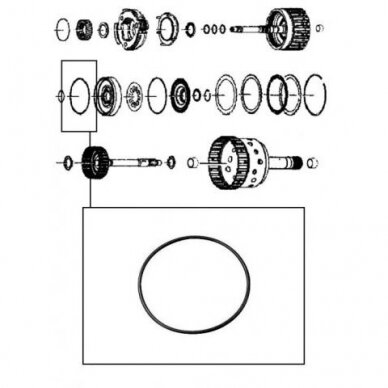 O-Ring 1