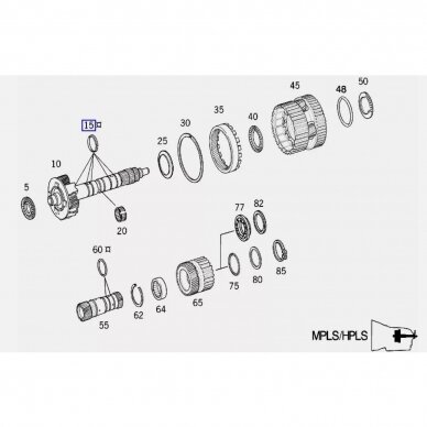 Sealing ring 1