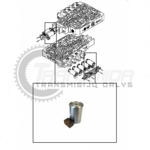 SOLENOIDAS