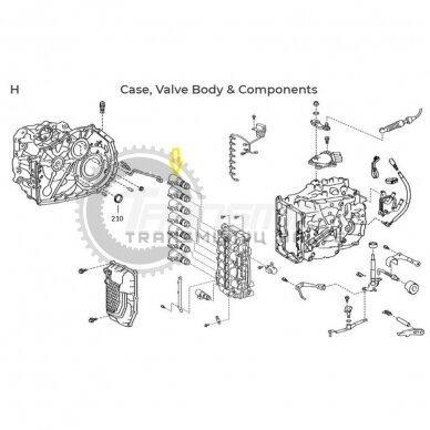 Solenoidas 1