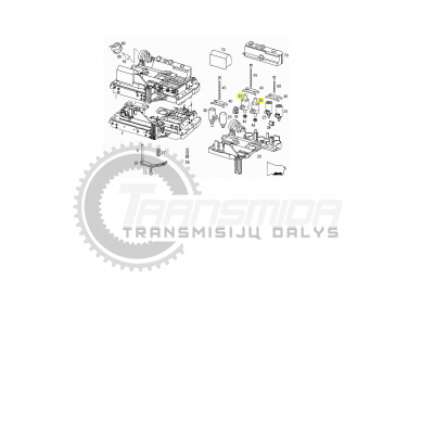 Solenoidas 1