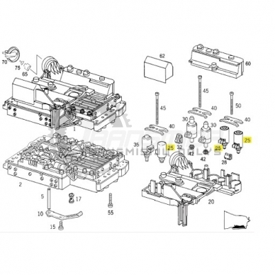 SOLENOIDAS 1