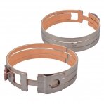 Brake band