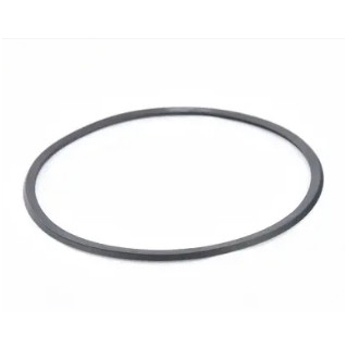 Sealing ring