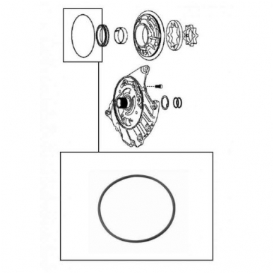 O-Ring 2