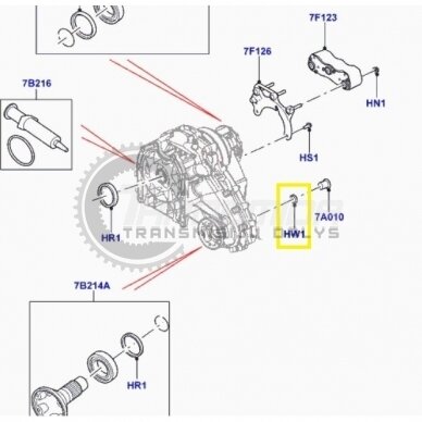 Sealing ring 1