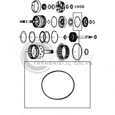 O-Ring 1