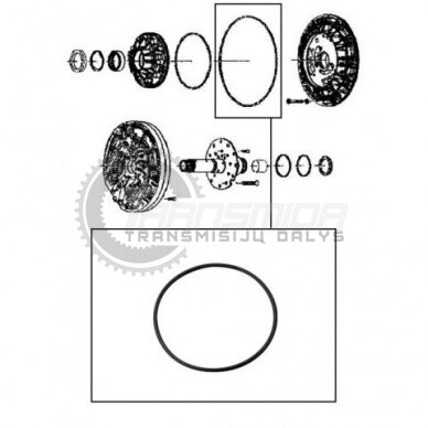 O-ring 1