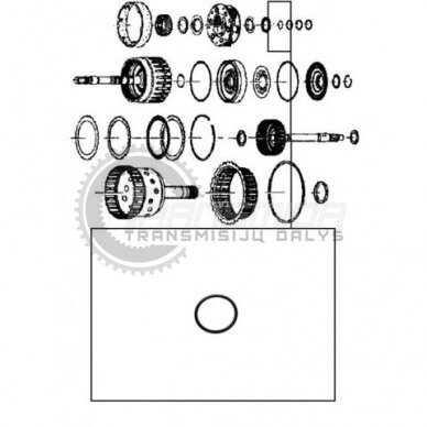 O-Ring 1