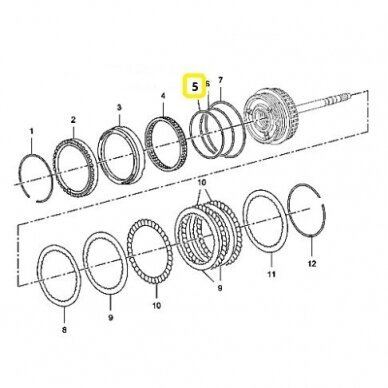 O-Ring 1