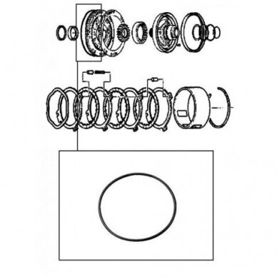 O-Ring 1