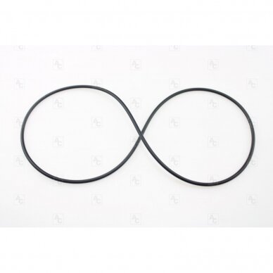 O-Ring