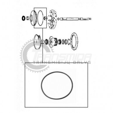 O-Ring 1