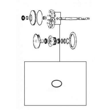 O-ring 1