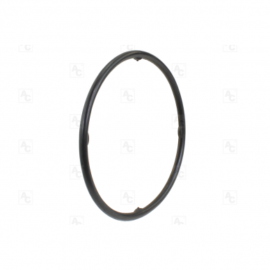 O-Ring