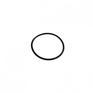 O-ring