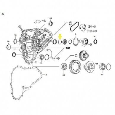 O-Ring 1