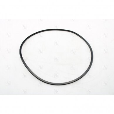 Sealing ring