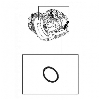 Dichtring 1