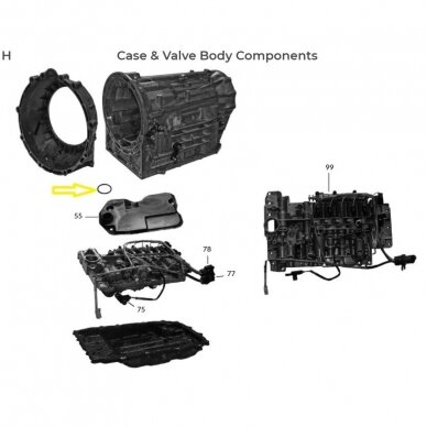 O-ring 1