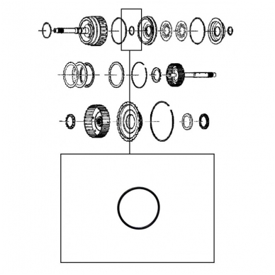 TARPIKLIS 1