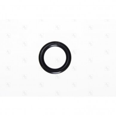 O-Ring