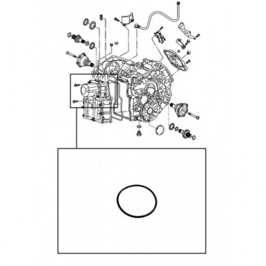 O-ring 2