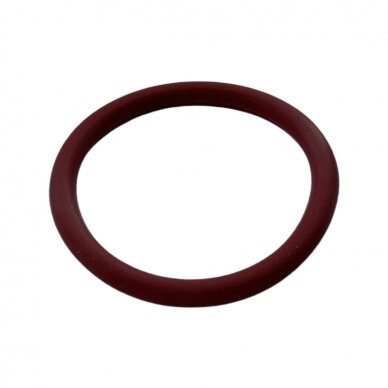 O-Ring 1