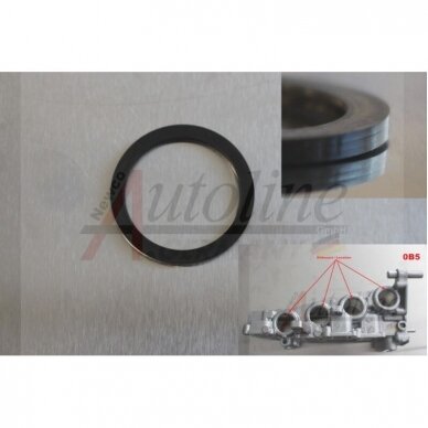 Sealing ring