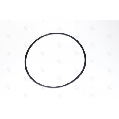 O-Ring