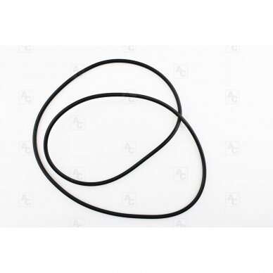 O-Ring