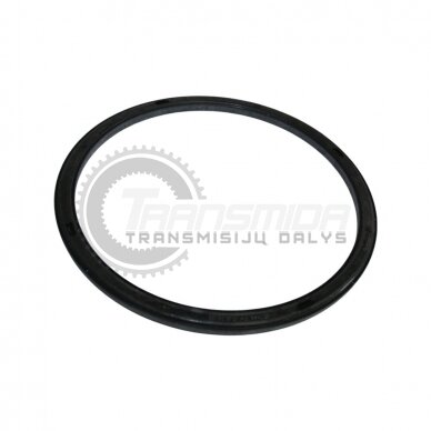 Sealing ring 1