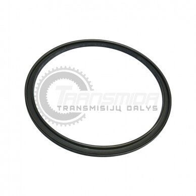 Sealing ring