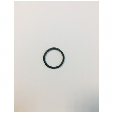 O-ring