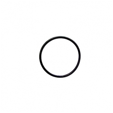 O-ring