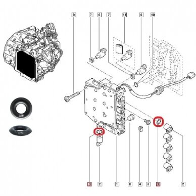 O-Ring 1