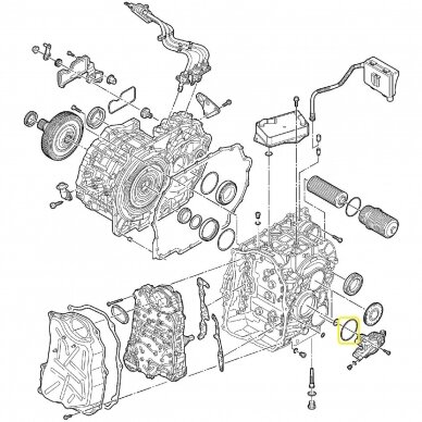 O-Ring 1