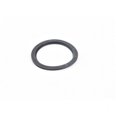 Sealing ring