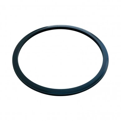 Sealing ring