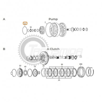 O-Ring 1