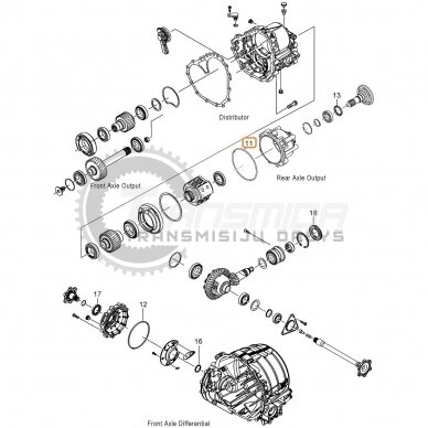 O-Ring 3