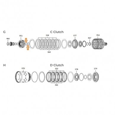 O-Ring