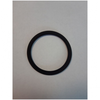 Sealing ring