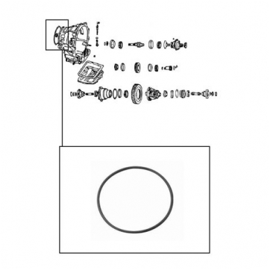 Sealing ring 1