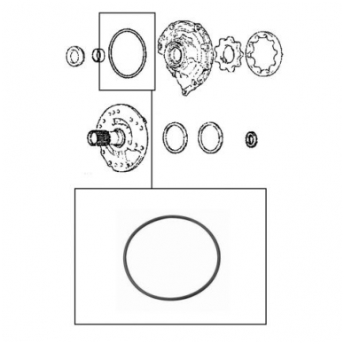 Sealing ring 1