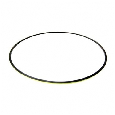 Sealing ring 1