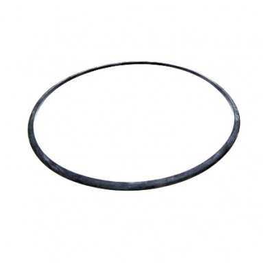 Sealing ring