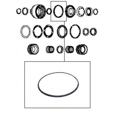 Sealing ring 1